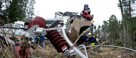 Stormarna i Sverige har ställt till med stora problem. Förutom nedfallna träd och skador på el-ledningar så är det också brist på skaldjur inför nyårsafton. FOTO: Janerik Henriksson/SCANPIX