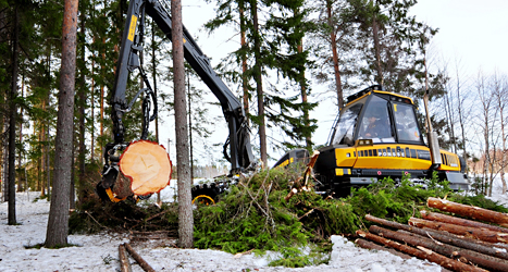 Det blir svårt för de tunga maskinerna att jobba i skogen när marken blir mjuk. Foto: Robert Granström /TT