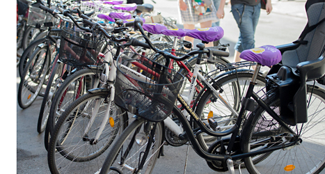 Fler än 24 tusen cyklar har blivit stulna i Sverige i år. Foto: Maja Suslin/TT.