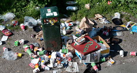 Skräp har lämnats kvar i parken. Foto: Jonas Ekströmer/TT.
