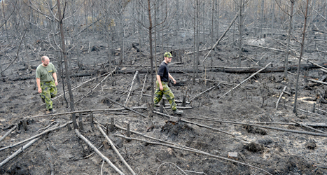 En del av skog som brunnit i Västmanland. Flera mil skog är förstörd. Foto: Maja Suslin /TT