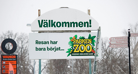 Parken Zoo måste betala 150 tusen kronor i böter.
Foto: Fredrik Sandberg/TT