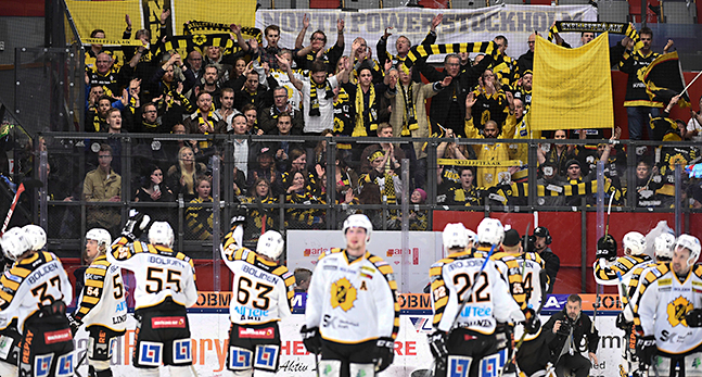 Skellefteås hockeylag