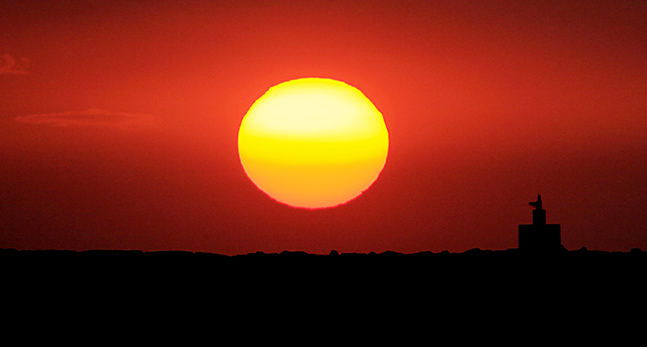 Solnedgång.