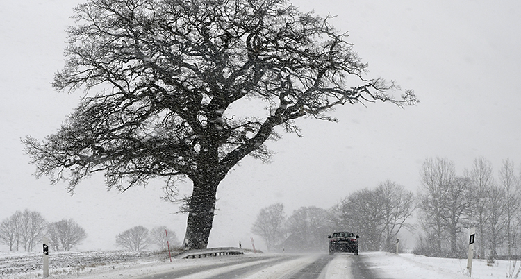 snöig väg