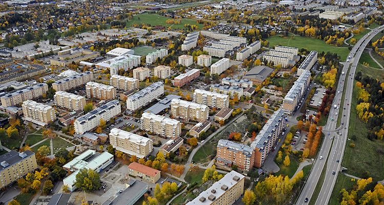 Rinkeby
