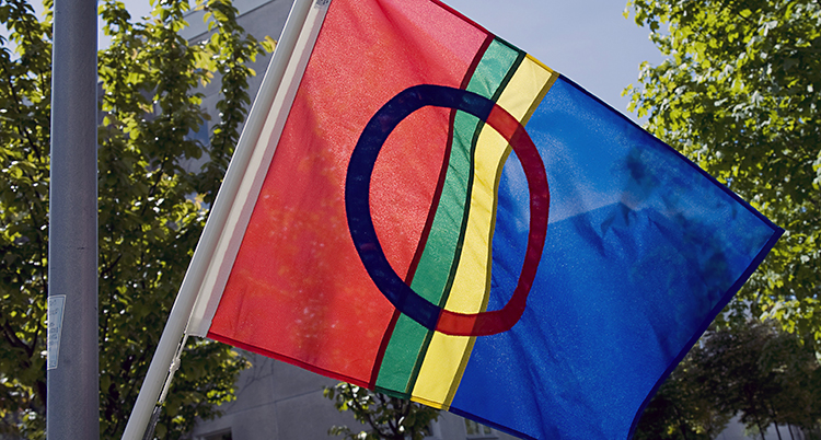 En flagga i rött, grönt, gult och blått med en cirkel ovanpå