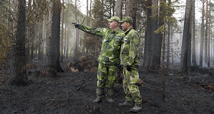 Militärer i en bränd skog