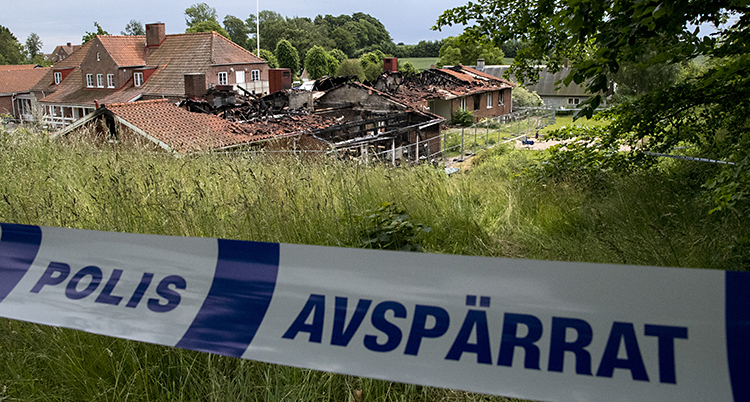 brand