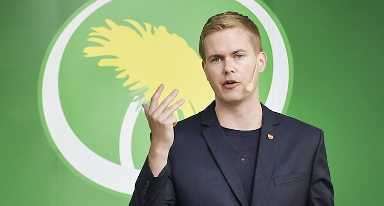 Gustav Fridolin framför en grön vägg med partiets symbol - en maskros