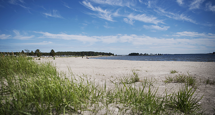 Piteå havsbad. En lång strand, vatten och lite gräs syns i förgrunden. Längst bort ser man skog.