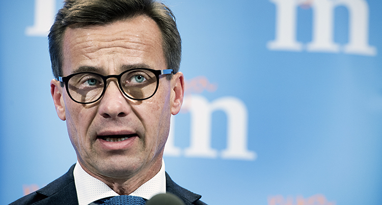 Ulf Kristersson vill leda Moderaterna