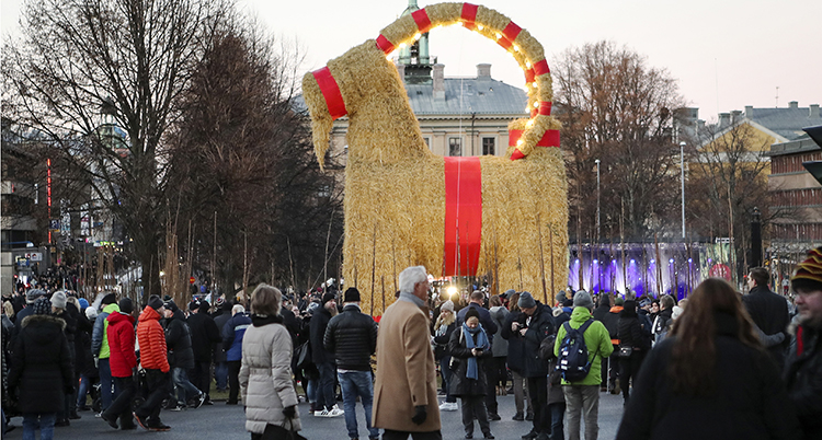Människor är samlade runt den stora bocken på torget