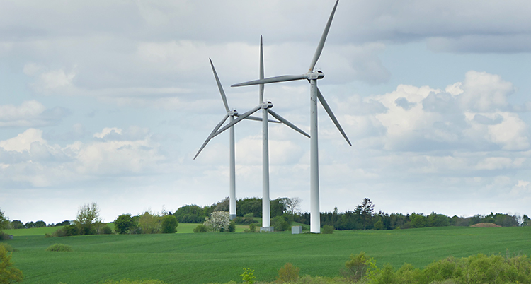 Vindkraftverk i Danmark