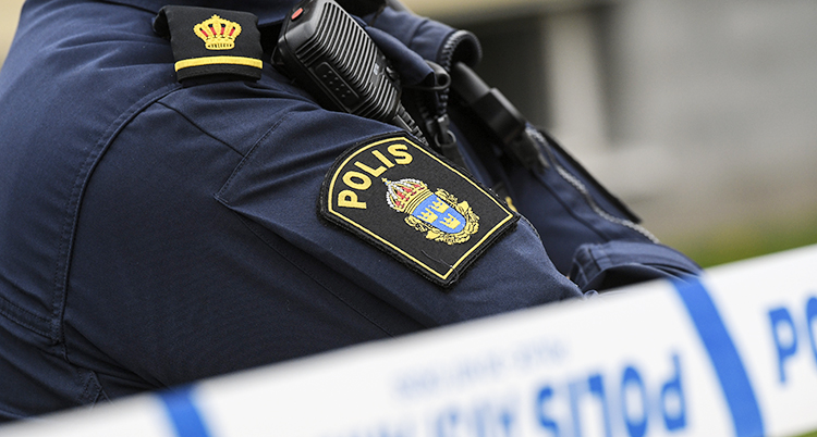 En polis