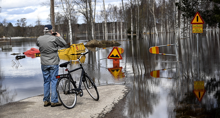översvämning