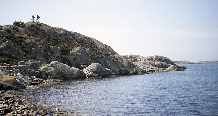 Folk städar på en strand