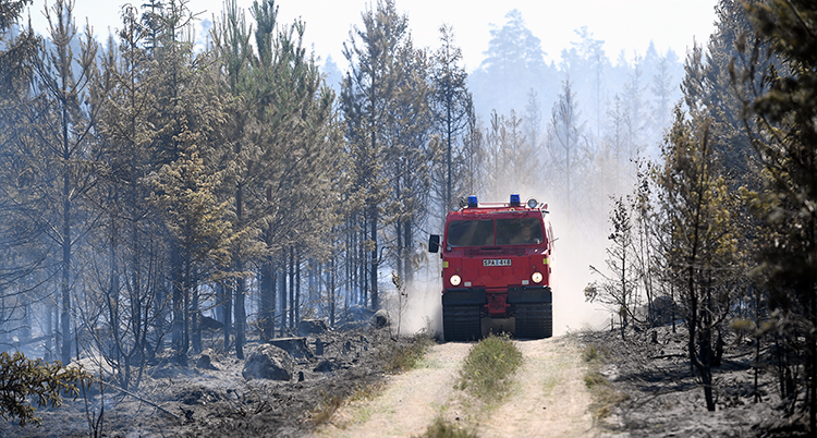 En brandbil i skogen i Värmland