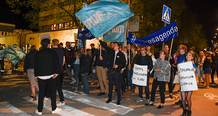 Unga människor viftar med flaggor.