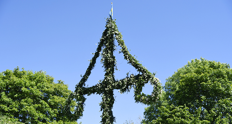 En bild av en midsommarstång.