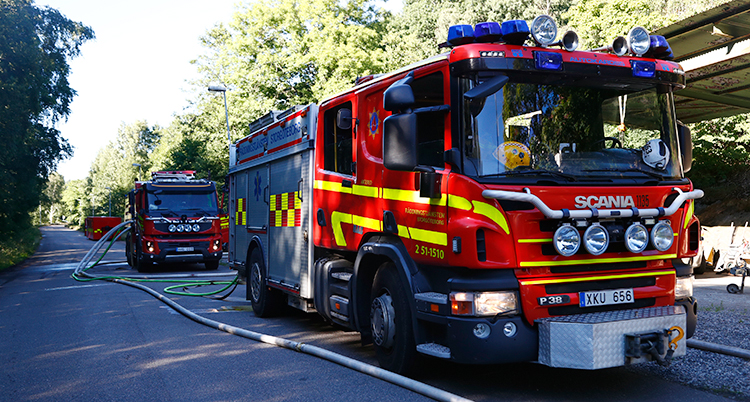 Flera brandbilar på en väg vid en skog.