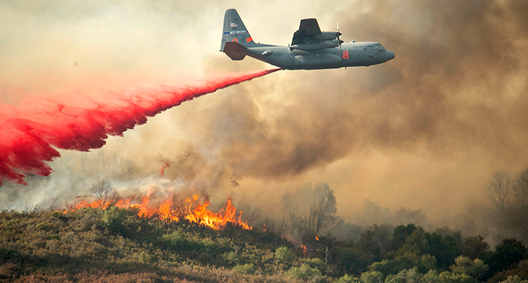 skogsbrand i USA