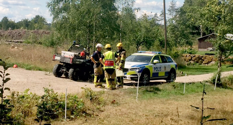 Brandmän