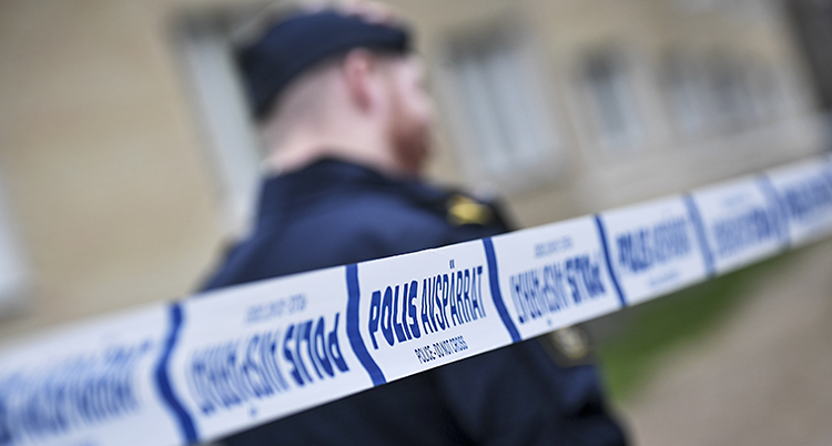 Partierna lovar fler poliser