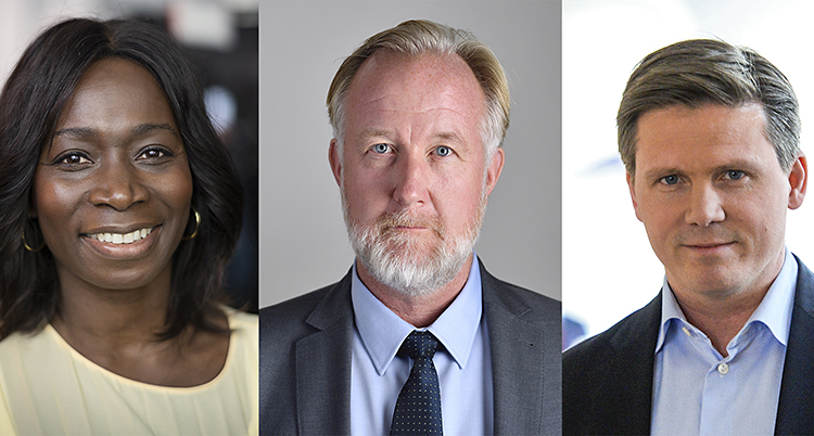 De tre vill bli ledare för Liberalerna.