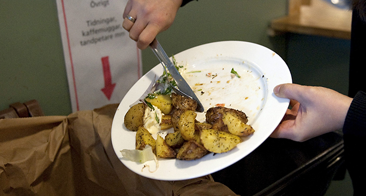En person skraåar ner potatis från en tallrik i en soptunna.