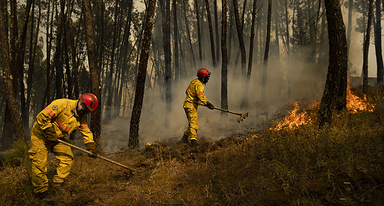 Två brandmän arbetar med en brand i skogen i Portugal. De har gula overaller och röda hjälmar.