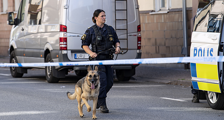 En kvinnlig polis med en polishund går på en gata. En polisbuss til höger och ett band som visar att ingen får gå innanför.