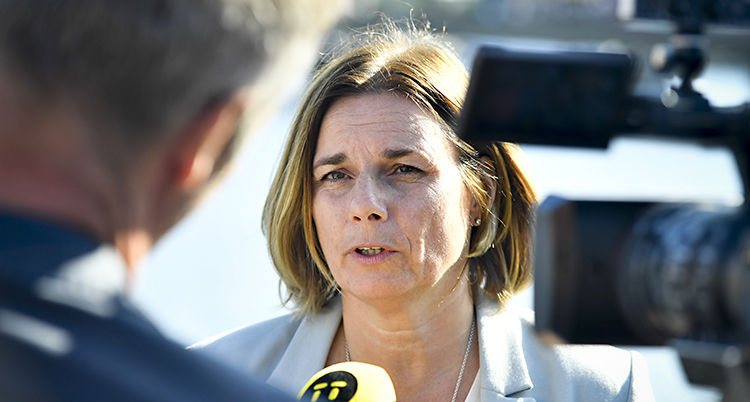 Isabella Lövin i beige kostym