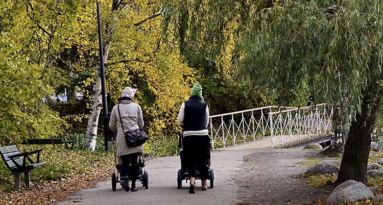 Två kvinnor går med barnvagnar på höstväg.