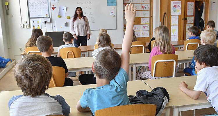 Elever räcker upp handen i ett klassrum.