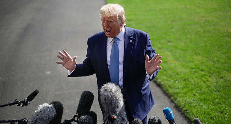 USAs president Donald Trump står och pratar med journalister. Framför Trump är det en massa mikrofoner. Trump pratar och gör gester med händerna. Han står på en väg och bakom syns en gräsmatta.
