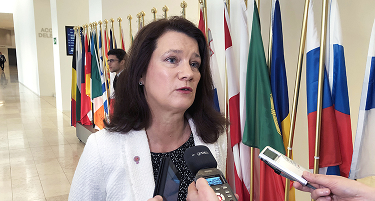 Ann Linde blir intervjuad. Hon har mikrofoner framför sig. I bakgrunden syns flera flaggor från olika EU-länder.