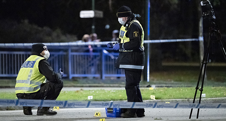 Det är mörkt. Två poliser står på en gata.