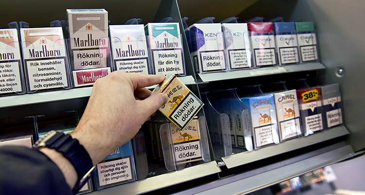 En hand håller i ett paket cigaretter. I bakgrunden syns flera paket med cigaretter.