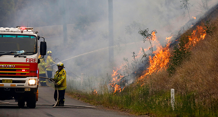 En brandbil står på en väg. Vid sidan av vägen brinner det på en slänt. Flera brandmän sprutar vatten på elden.