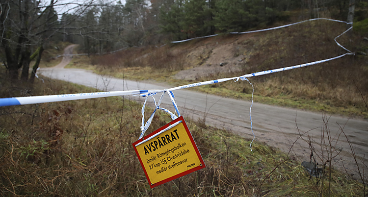 En väg som går in i ett skogsområde. Poliser har satt upp band i blått och vitt som spärrar av området. På bandet hänger en gul skylt där det står Avspärrat.