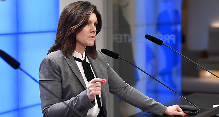 En minister pratar inför journalister. Hon pratar i en mikrofon och gör gester med händerna. Hon har långt brunt hår, grå kavaj och vit skjorta.