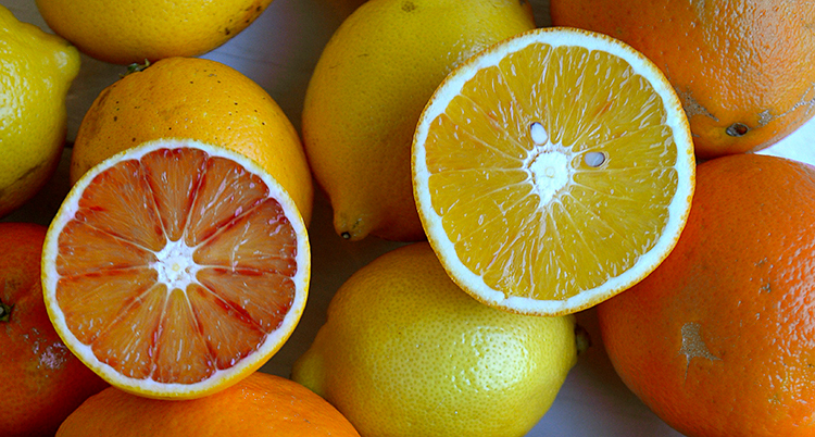 Citroner, grapefrukt och apelsiner.