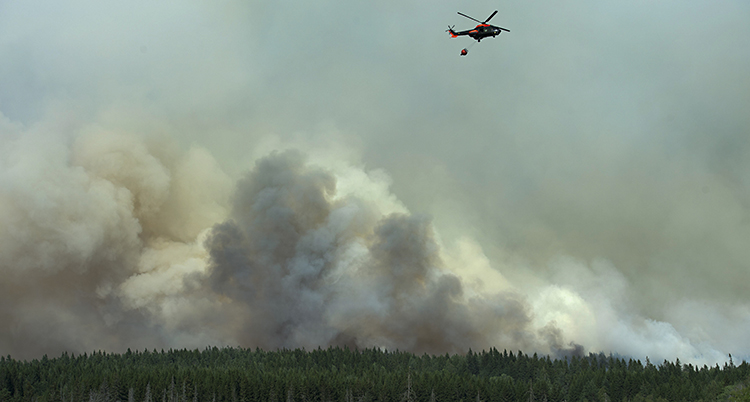 En helikopter bombar skogen med vatten. Det ryker från skogen.