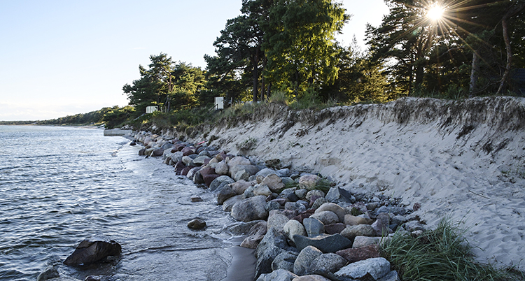 I Åhus i Skåne når vattnet redan upp till där skogen börjar.