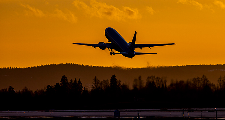 Ett flygplan lyfter. Det är tidigt på morgonen och himlen är gul.