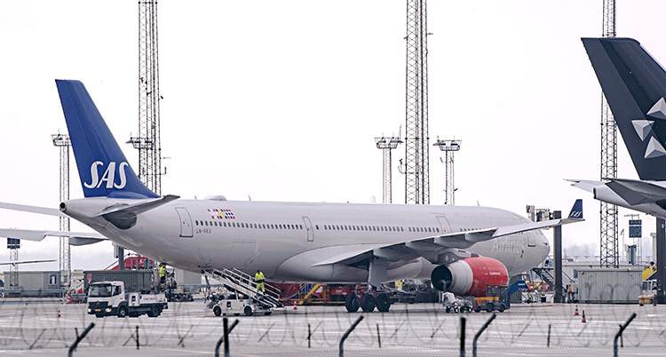 Ett flygplan står på marken. Stjärten är blå och där står SAS. Resten är grått