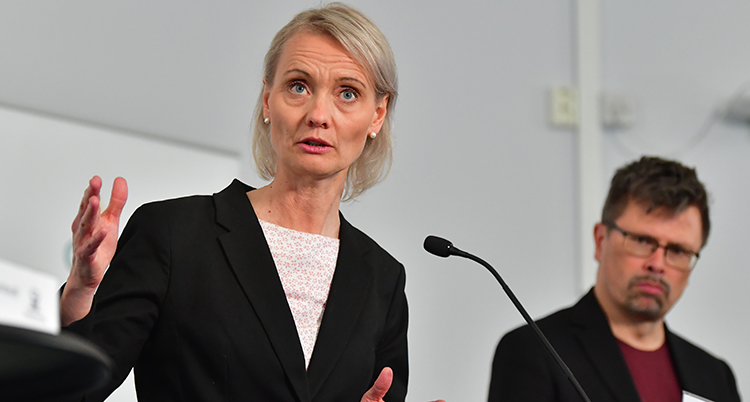 Karin Tegmark Wisells ansikte.