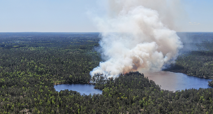 En flygbild över en stor skog och två sjöar. Kraftig vid rök kommerer från skogen.