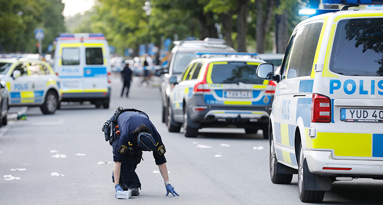 Flera polisbilar står parkerade på rad på en gata. En polis undersöker något på marken.